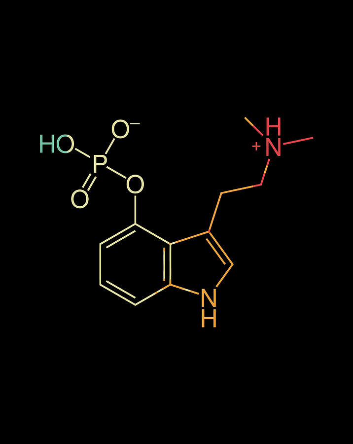 Psilocybin Molecule Chemical Structure Magic Mushroom Drugs Drawing by ...