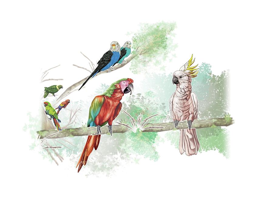 Psittaciformes birds. Digital Art by Album