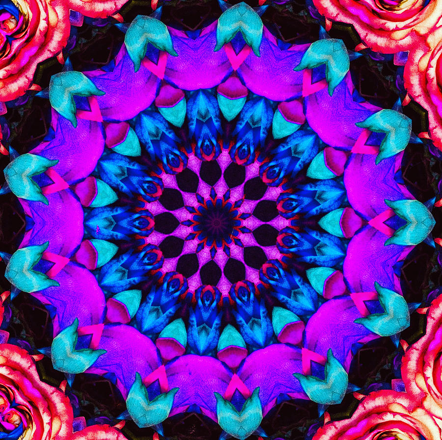 Psychedelic Bloom Digital Art By Rachel Schwiebert Pixels