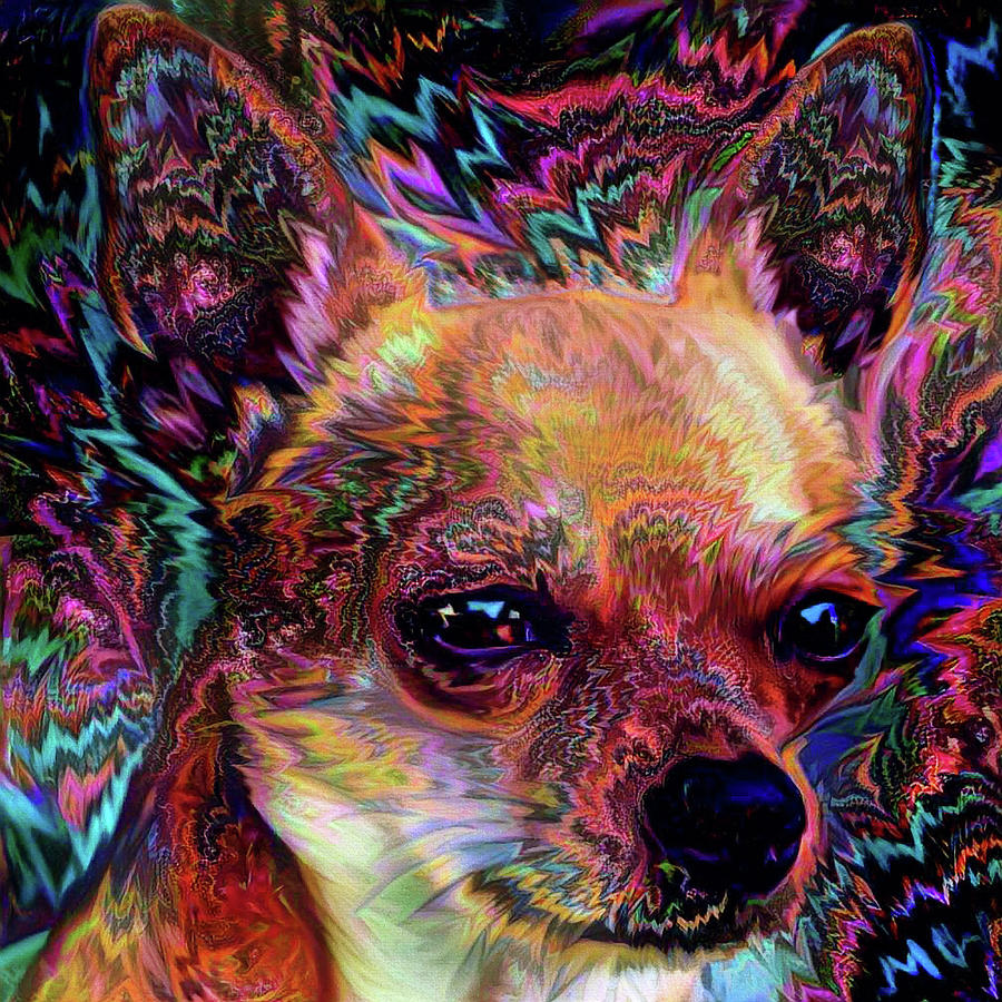 Psychedelic Chihuahua Digital Art by Peggy Collins