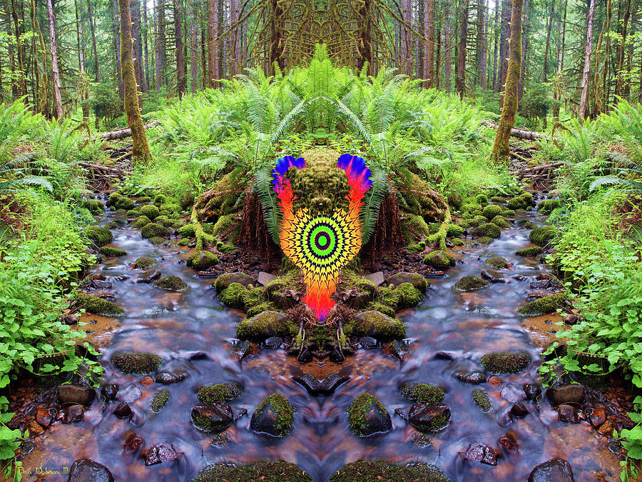 Psychedelic Creature of the Cosmic Creek of Time #1 Photograph by Ben Upham III