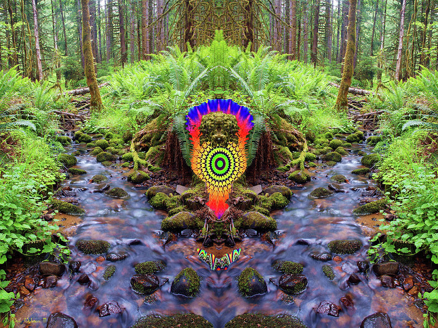 Psychedelic Creature of the Cosmic Creek of Time #2 Photograph by Ben Upham III