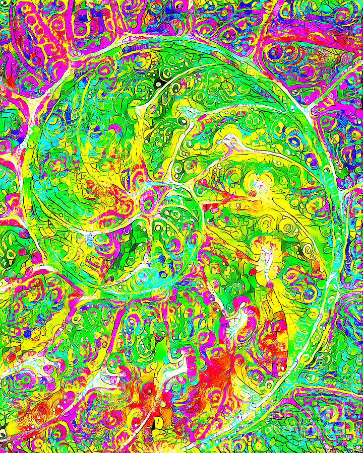 Psychedelic Dreamscape Swirl Of The Giant Nautilus 20200708 Photograph by Wingsdomain Art and Photography