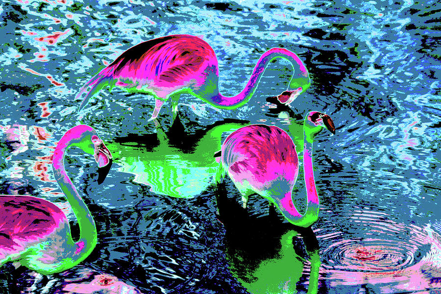 Psychedelic Flamingo 23B Photograph by Sally Fuller Psychedelic Flamingo 23B Photograph by Sally Fuller