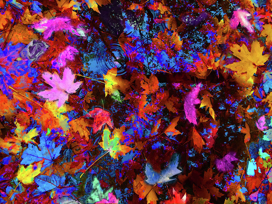 Psychedelic Leaves Photograph by Wayne King