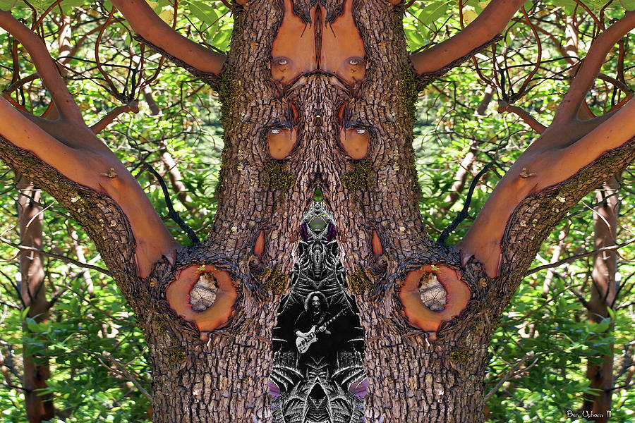 Psychedelic Madrone Tree Photograph by Benjamin Upham III