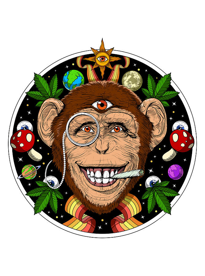 Chimpanzee Digital Art - Psychedelic Monkey by Nikolay Todorov