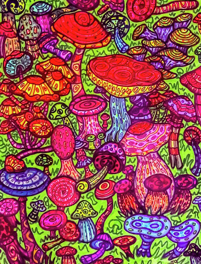 Psychedelic Mushrooms Drawing by Janine Messenger Fine Art America