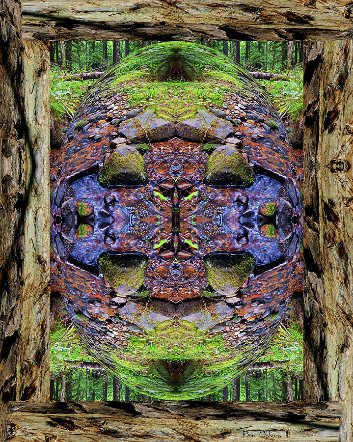 Psychedelic Nature Face #1 Photograph by Ben Upham III