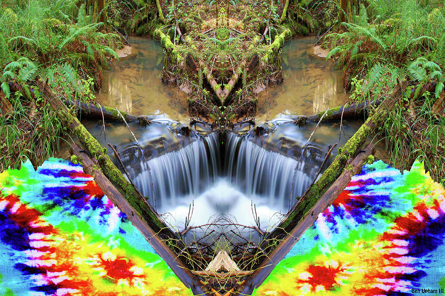 Psychedelic Nature Mirror #1 Photograph by Ben Upham III