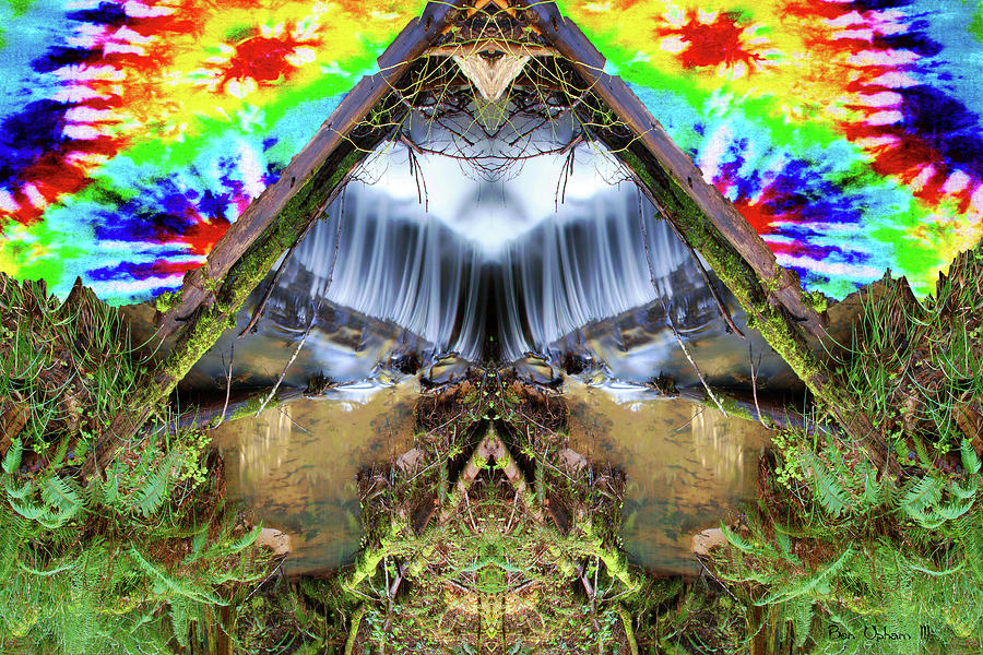 Psychedelic Nature Mirror #2 Photograph by Ben Upham III