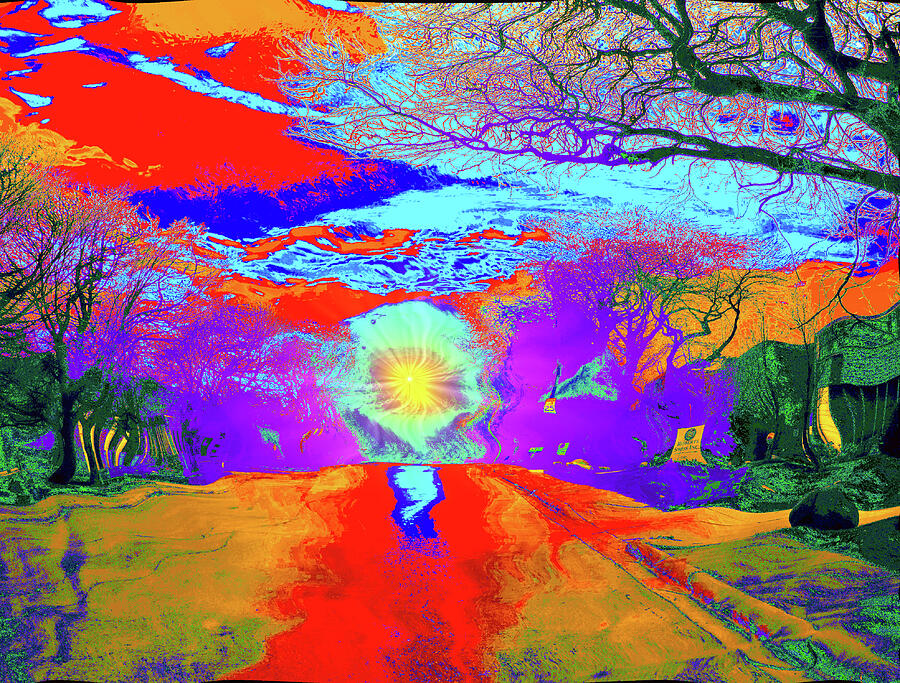 Tree Digital Art - Psychedelic Sunset by John Enright