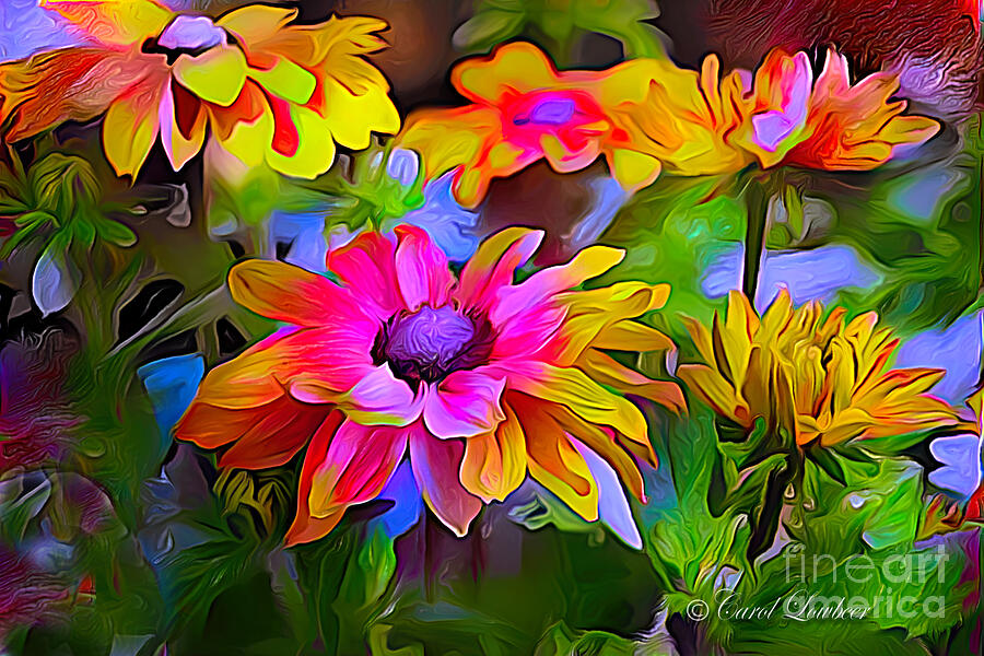 Flower Photograph - Psychedelic Magenta Sunflowers in a wild pasture by Carol Lowbeer