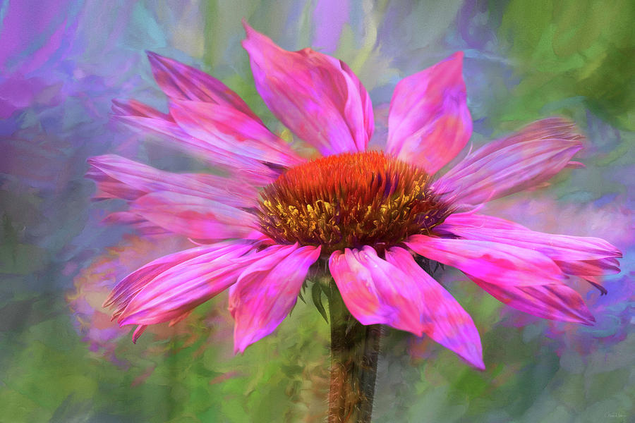 Flower Digital Art - Psychodelia by Nicole Wilde