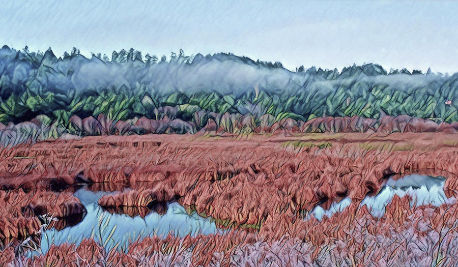 Pt. Reyes Frosty Wetland Digital Art by Jim Pavelle