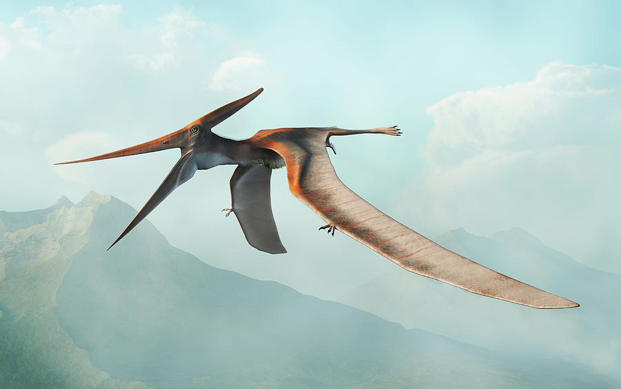 Pteranodon Flying Digital Art By Daniel Eskridge Pixels Merch