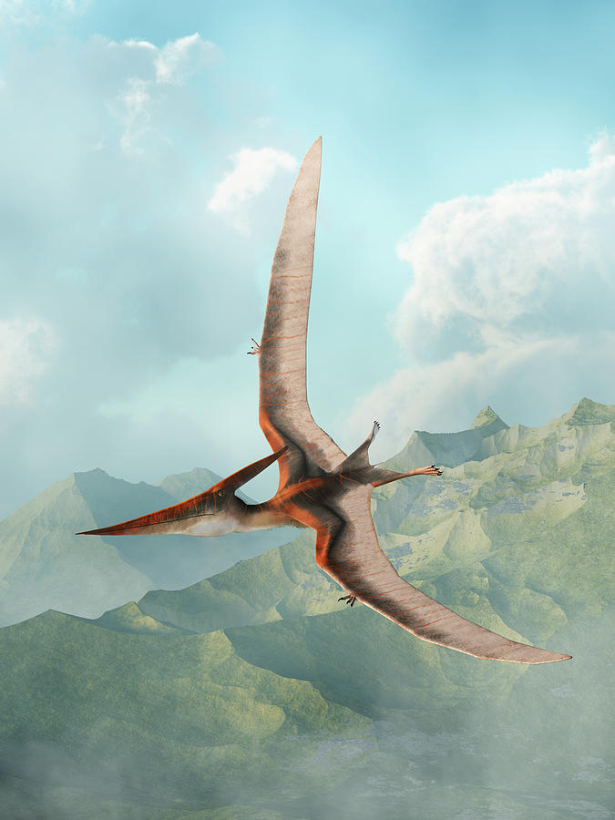 Pteranodon Gliding Digital Art by Daniel Eskridge