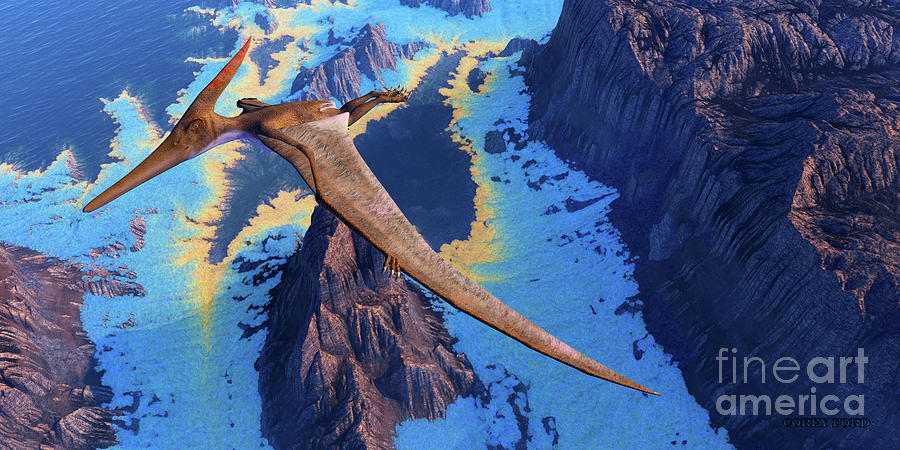 Pteranodon Reptile Digital Art by Corey Ford