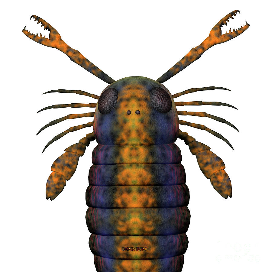 Pterygotus Scorpion Head Digital Art by Corey Ford