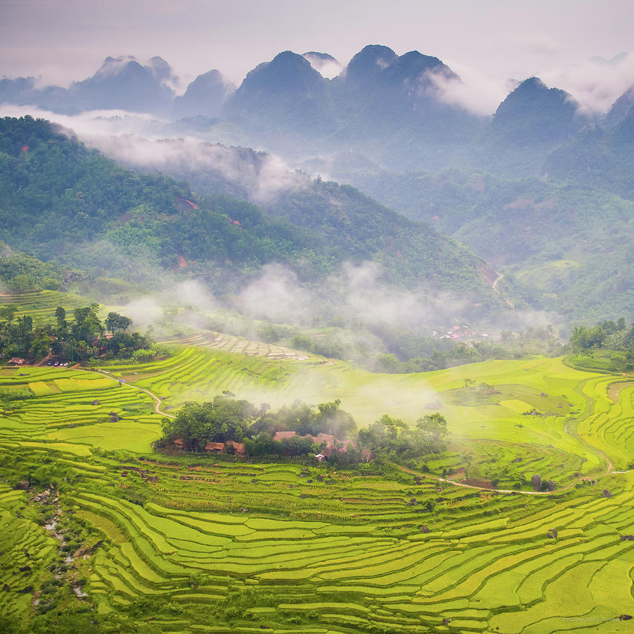 Pu Luong valley - Thanh Hoa, Vietnam Photograph by Le The Thang - Fine ...