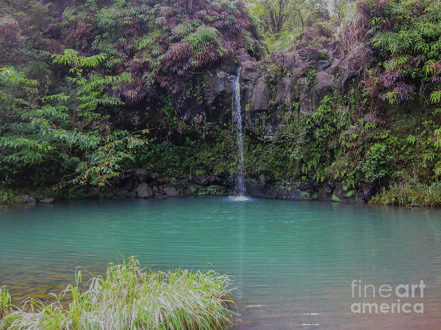 Pua Kaa Waterfall Photograph by Suzanne Luft
