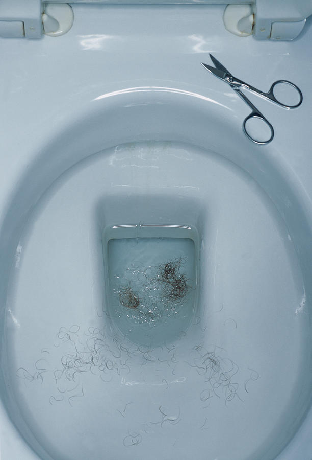 Pubic hair in a toilet bowl Photograph by Image Source