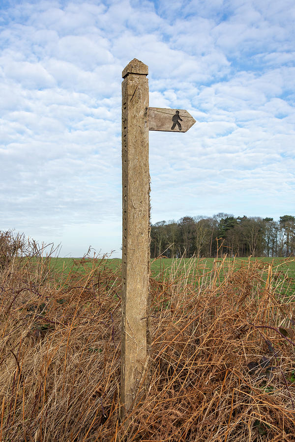 Public footpath Photograph by Steev Stamford