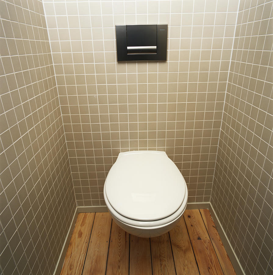 Public toilet, elevated view Photograph by David De Lossy