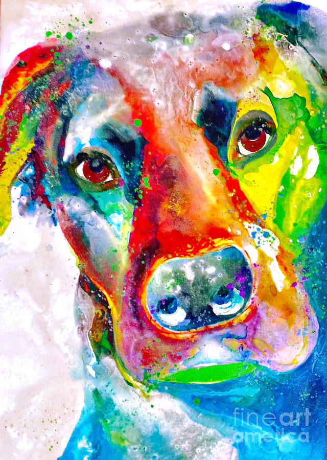 Puck in Color Painting by Kasha Ritter