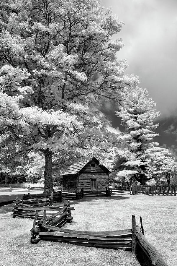 Puckett Cabin in Black and White bw Photograph by Dan Carmichael