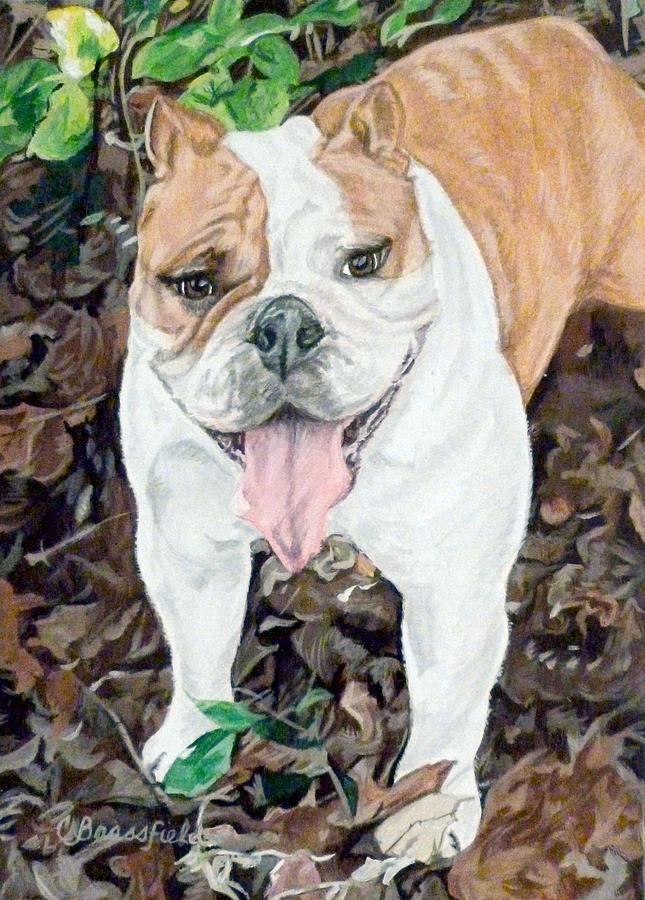 English Bulldog Painting - Puddin by Cynthia Brassfield