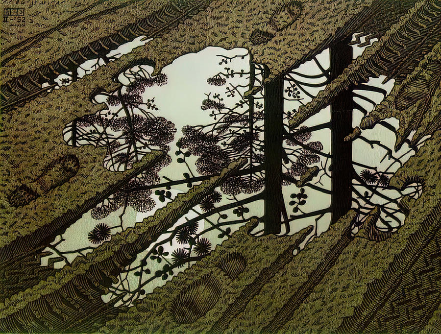 Vintage Painting - Puddle by M C Escher