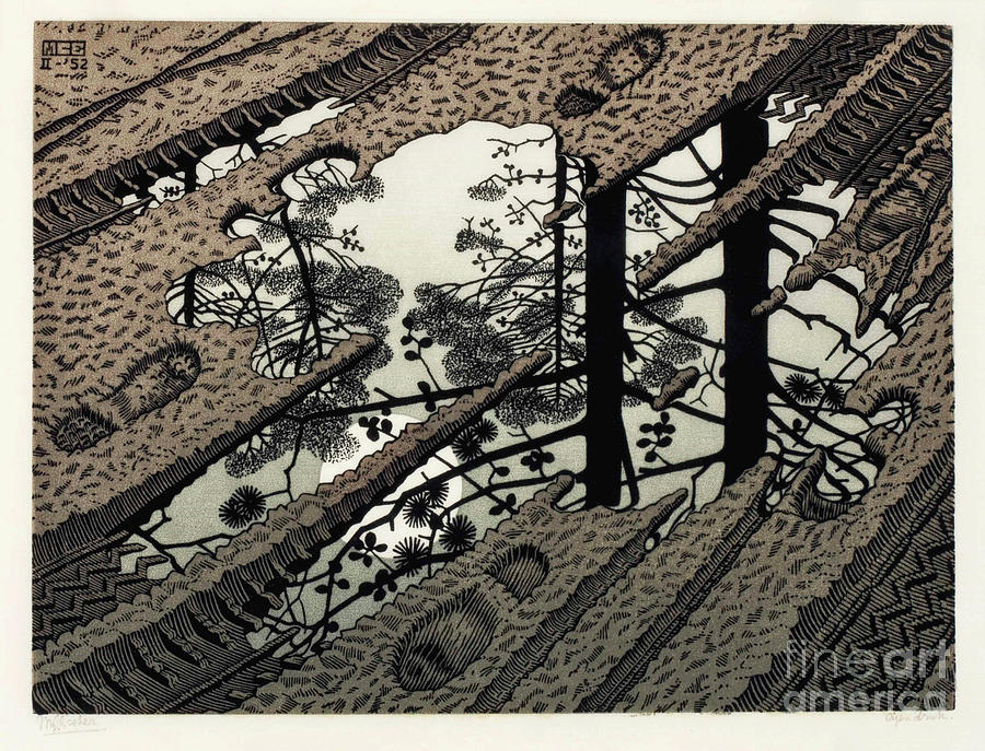 Black And White Drawing - Puddle by MC Escher