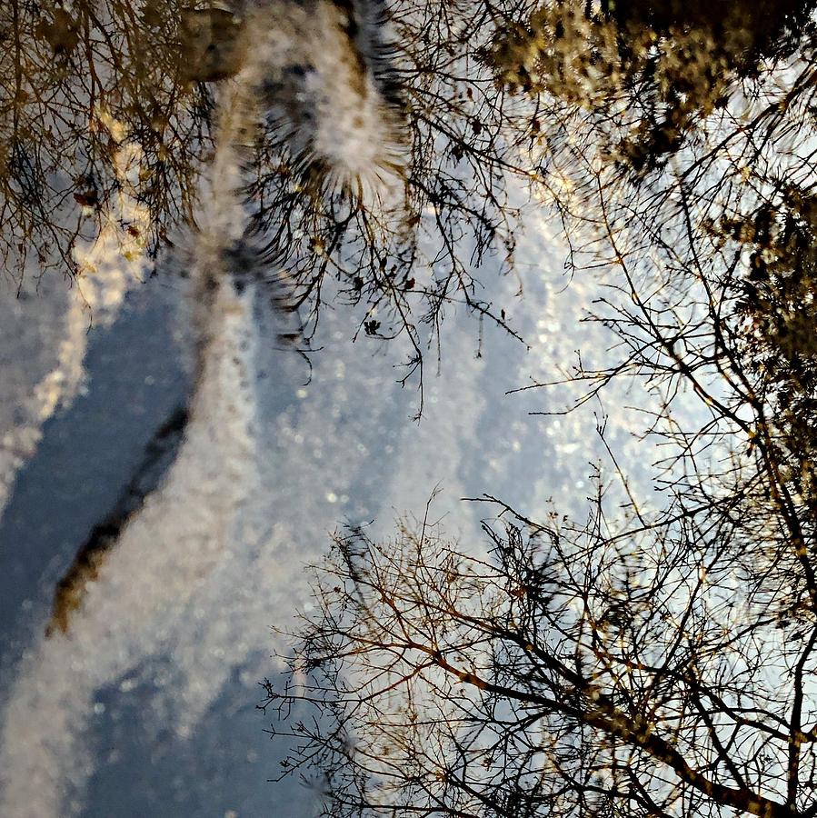 Puddle Reflection  Photograph by Jori Reijonen