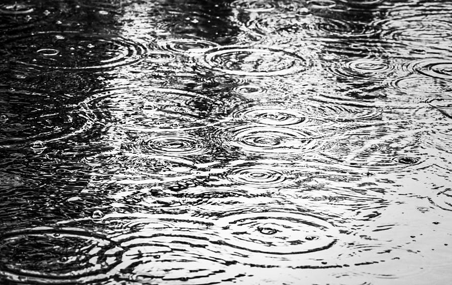 Puddle Photograph by Robert Ashman - Fine Art America