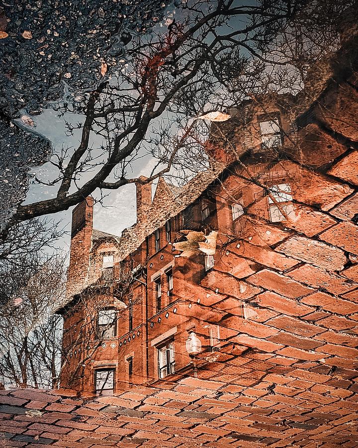 Puddle visions Photograph by Brian McWilliams