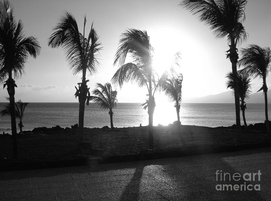 Puerto del Carmen - Black and White Photograph by Lesley Evered