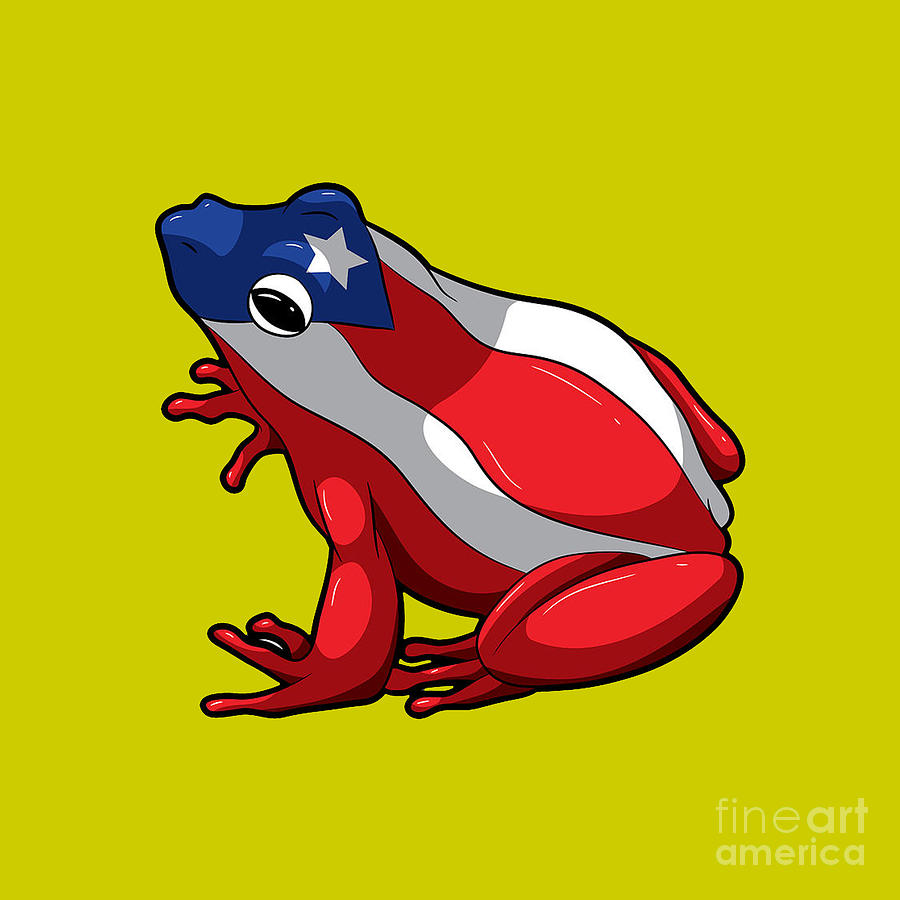 Puerto Rican Coqui Frog Puerto Rico Drawing by Connie A Stephenson Pixels