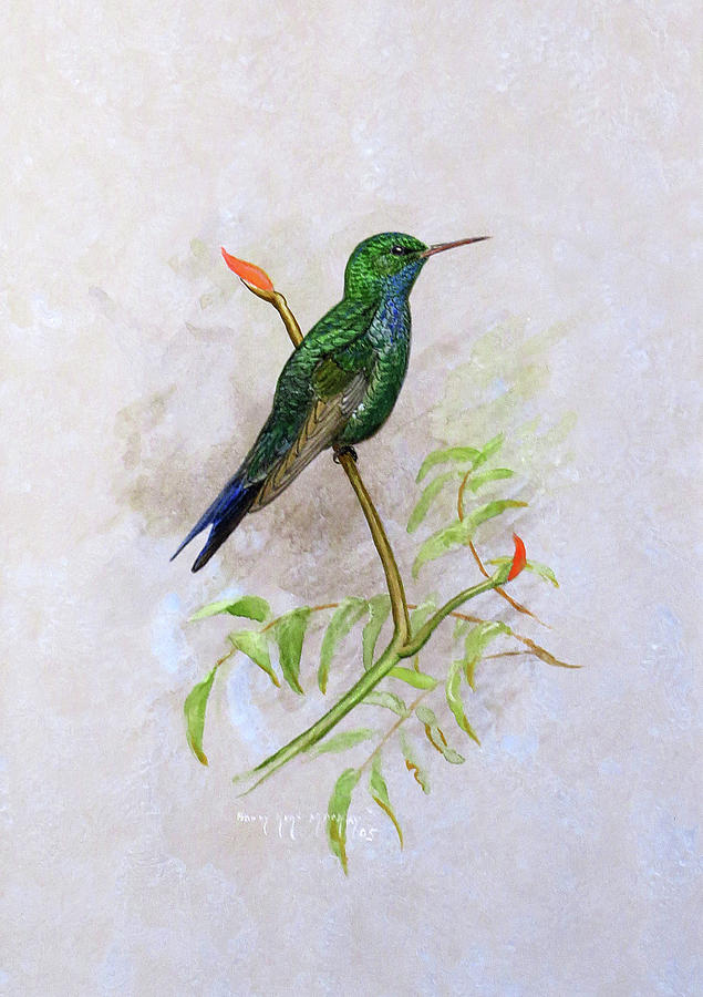 Puerto Rican Emerald  Painting by Barry Kent MacKay