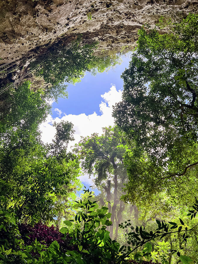 Puerto Rico Cave Photograph by Rachel Andrade - Fine Art America