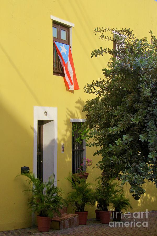 Puerto Rico Flag Photograph by Suzanne Oesterling