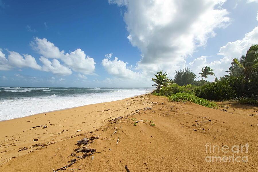 Puerto Rico Photograph by Jeff Saunders Puerto Rico Photograph by Jeff Saunders