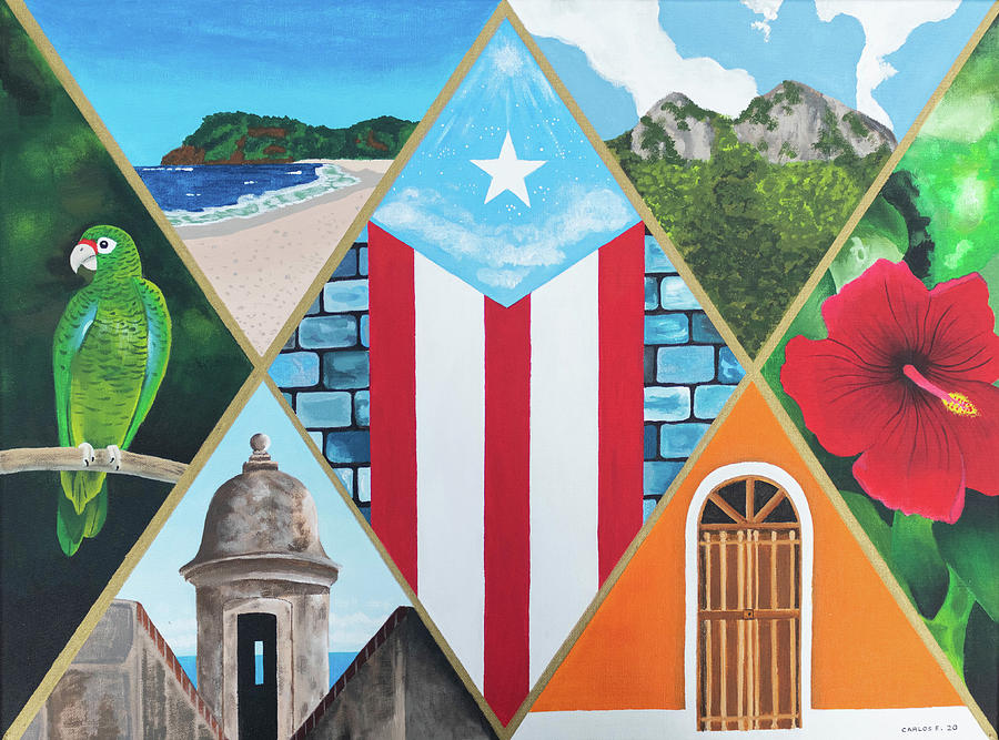 Puerto Rico Patterns Painting by Carlos E Pagan Ruiz