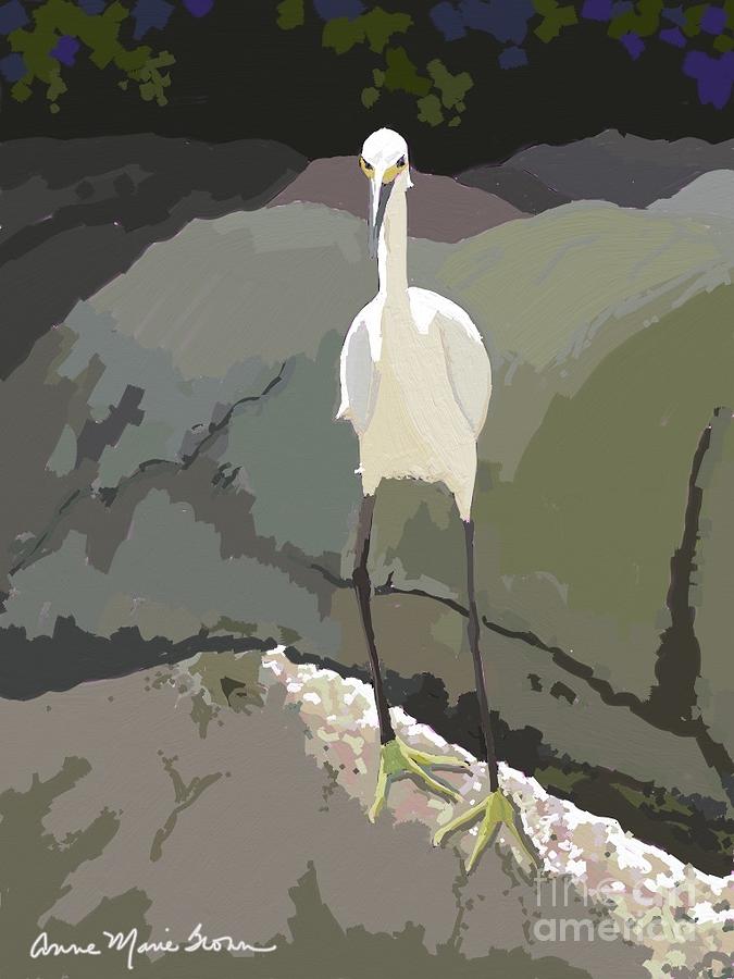 Puerto Vallarta Egret Digital Art by Anne Marie Brown