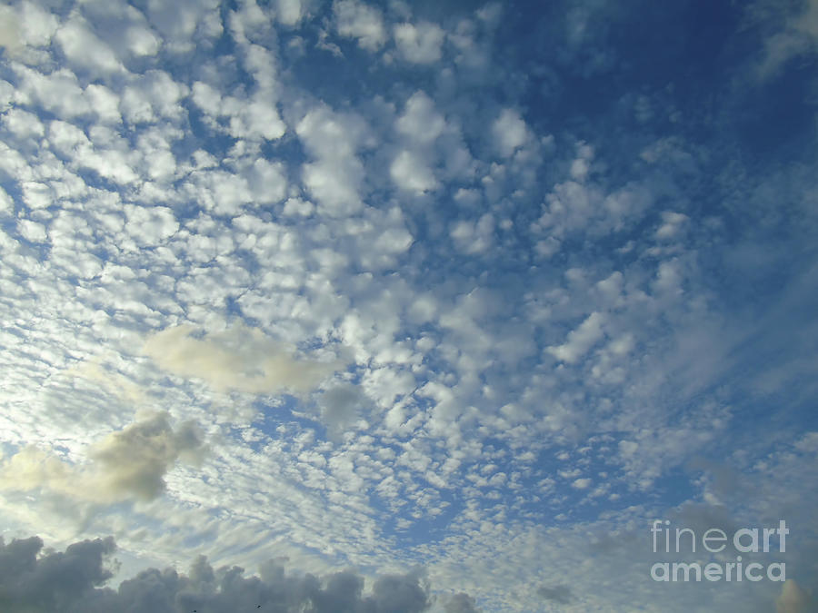 Puff Ball Clouds Photograph by D Hackett