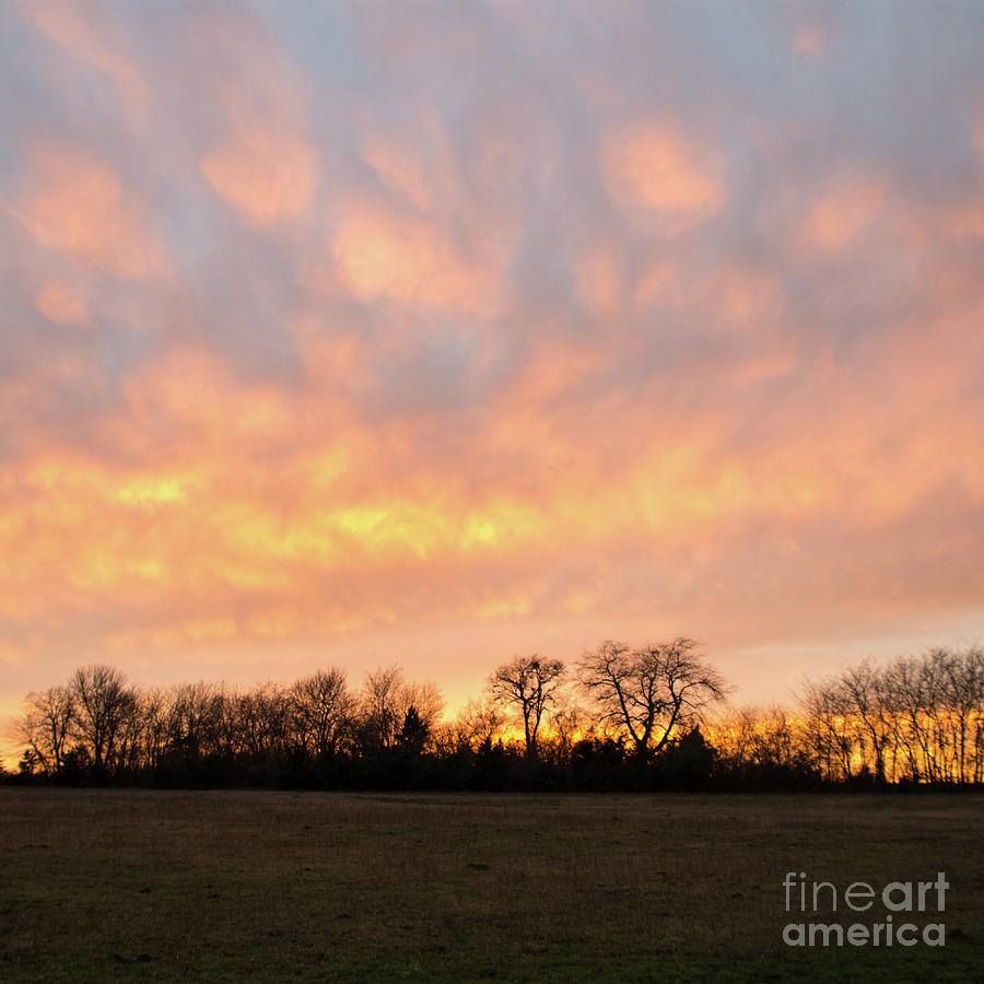 Sunset Photograph - Puff Sky 2 by Cheryl McClure