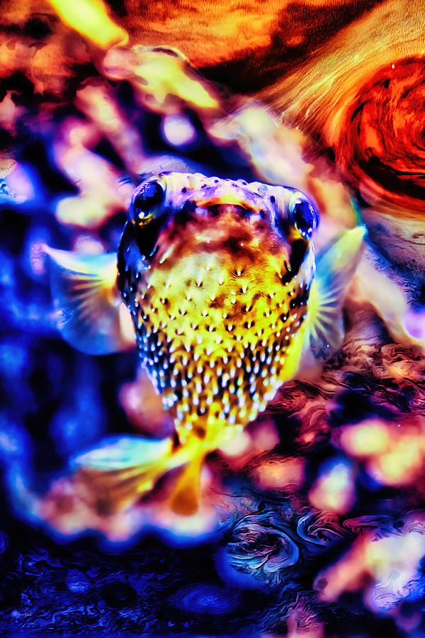 Puffer fish swimming in a Jupiter Sea Digital Art by Bruce Block