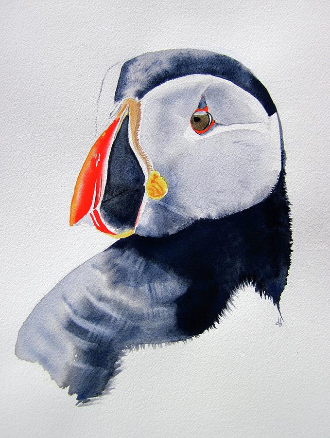 Puffin Face Painting by Dominique Bachelet