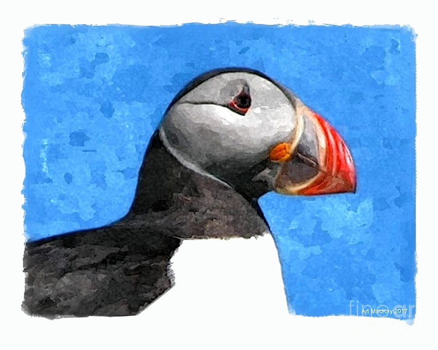 Puffin Portrait Mixed Media by Art MacKay