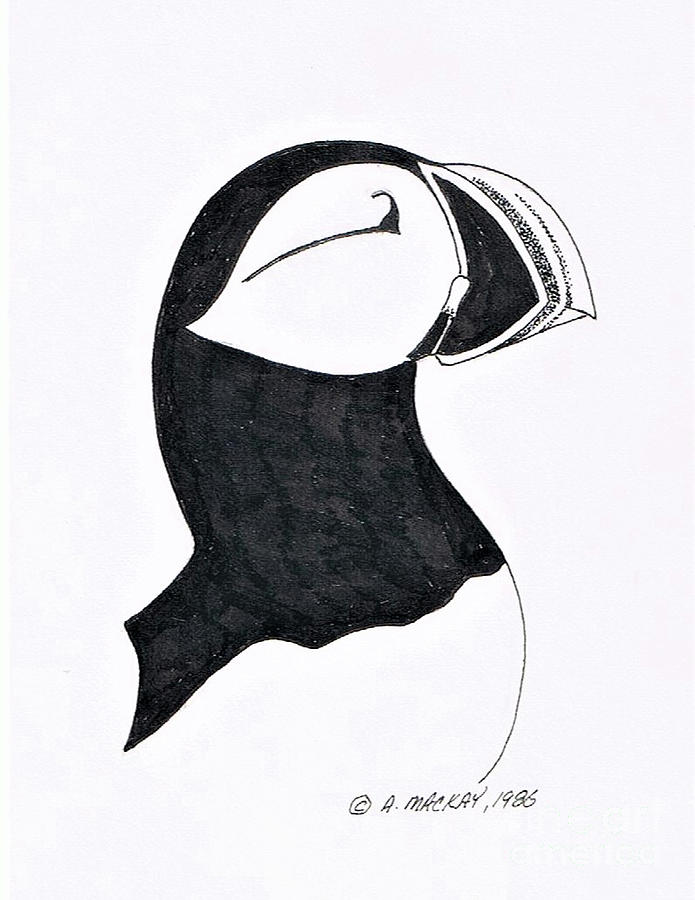 Puffin Portrait - Sketch Drawing by Art MacKay